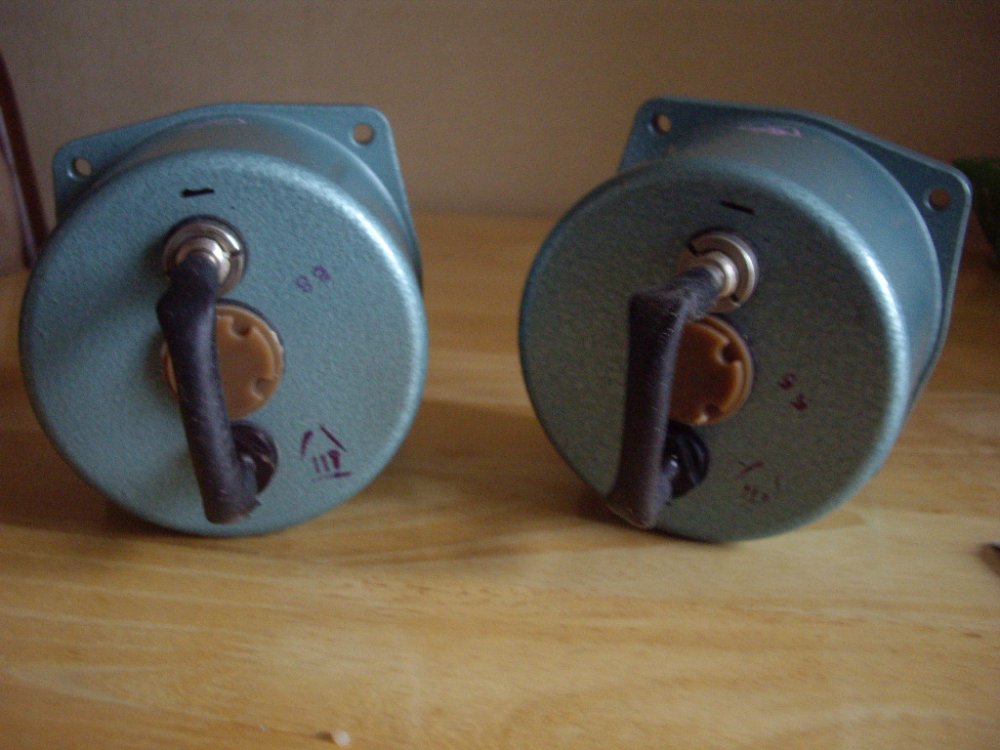 IMGP1115.JPG