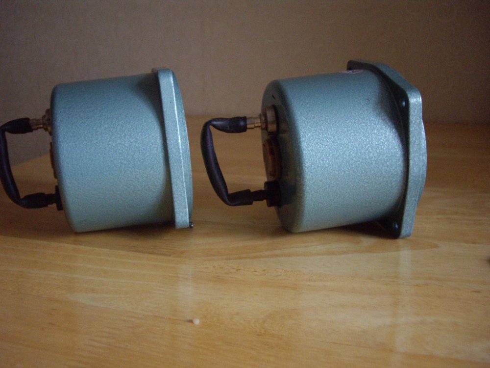 IMGP1118.JPG