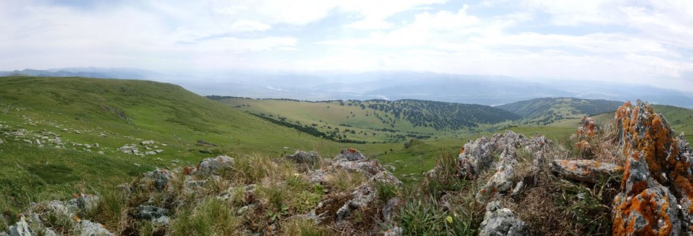 DSC_0196_1.jpg