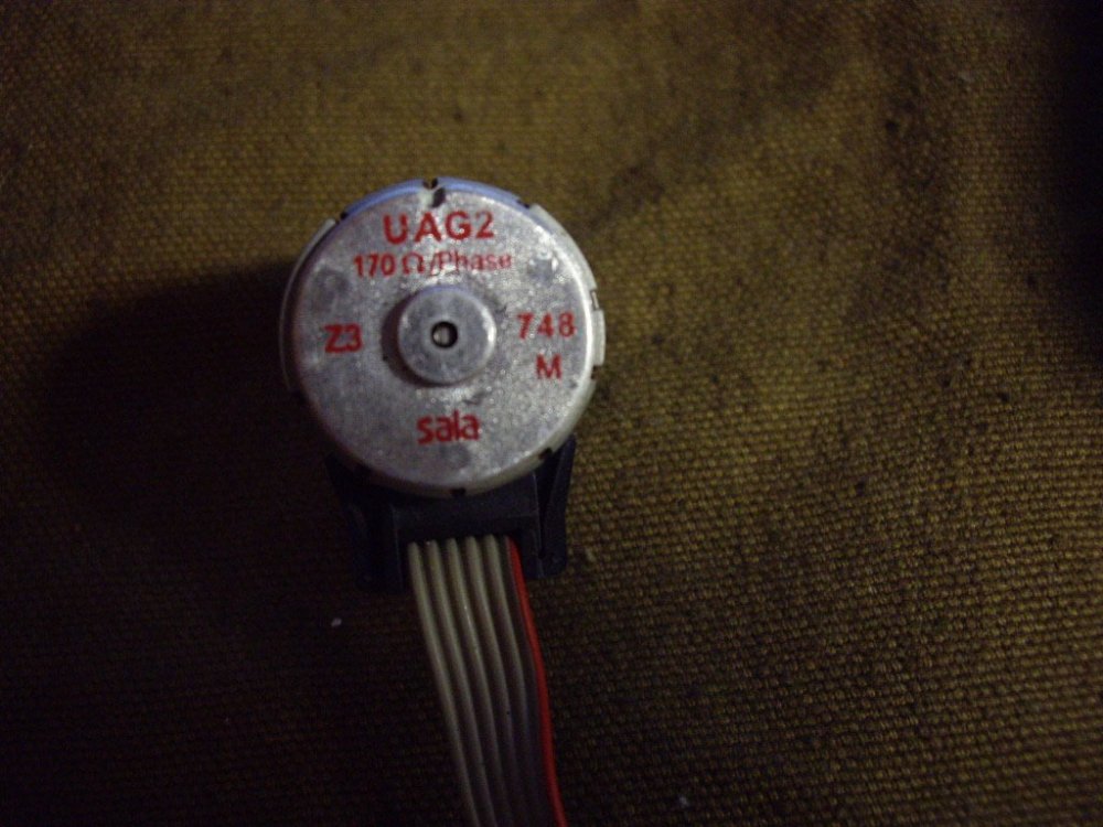 IMGP2204.JPG