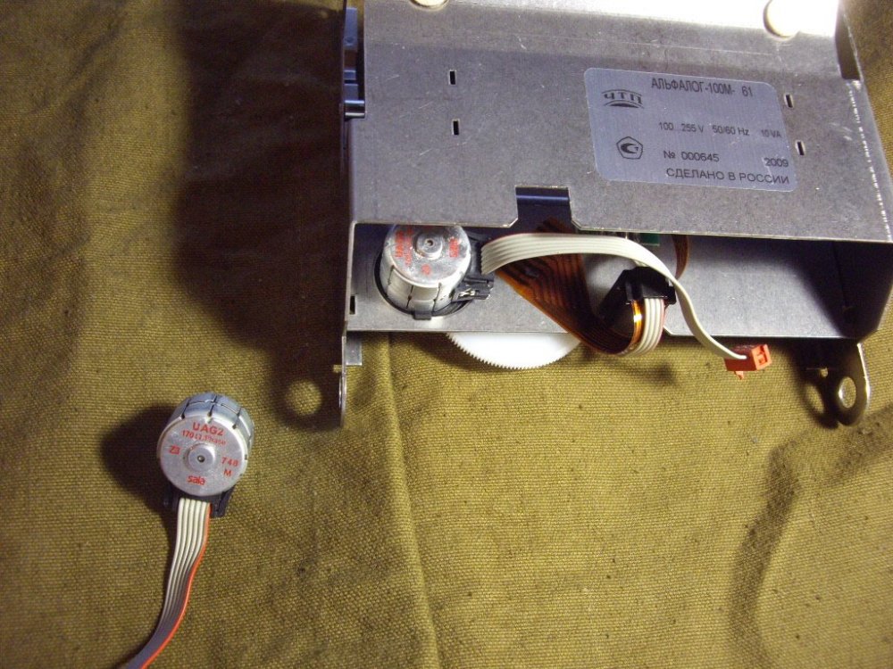 IMGP2206.JPG