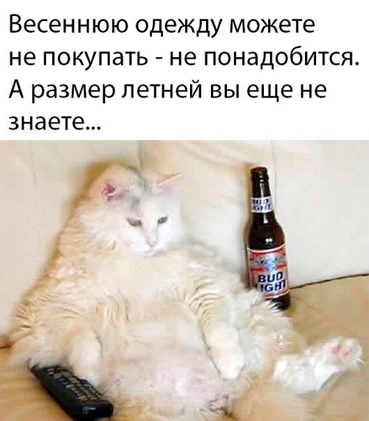 IMG-7695fa6f63cbceb29df1d0fe7c583108-V.jpg