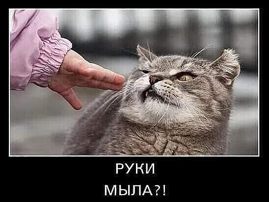 IMG-89eb511bb00a73ad2132695efb53ce04-V.jpg
