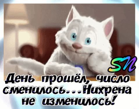 GIF-a0d53b3e067e177919012b617019f4eb.gif