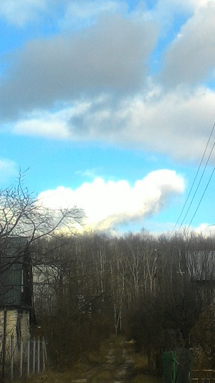 P_20200430_165755.jpg