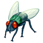 fly_1fab0.png