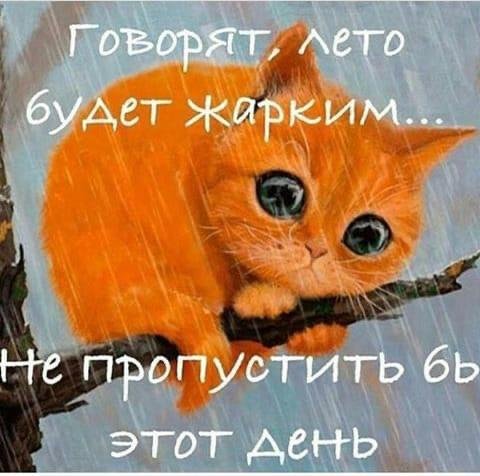 image6ea8c1f6d64e66c4353715c7d5f905f5-V.jpg