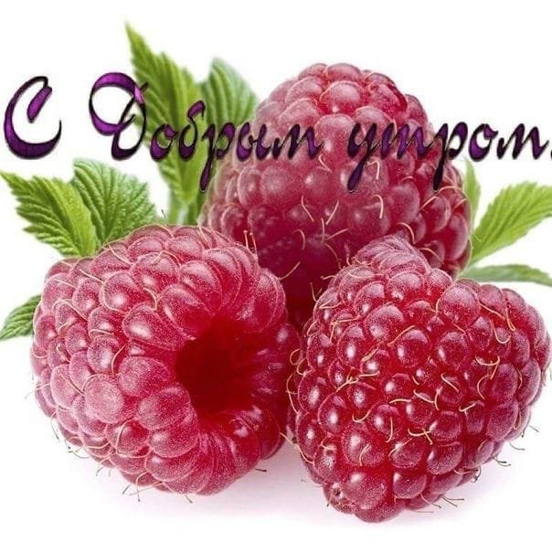 IMG-6295881f48e9b0de31bc76b0c8f847f4-V.jpg