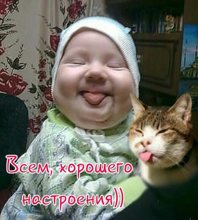 IMG-a008dfe4acf6ad8b1a55b00a188ac846-V.jpg