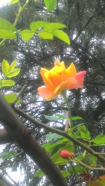P_20200913_120033.jpg