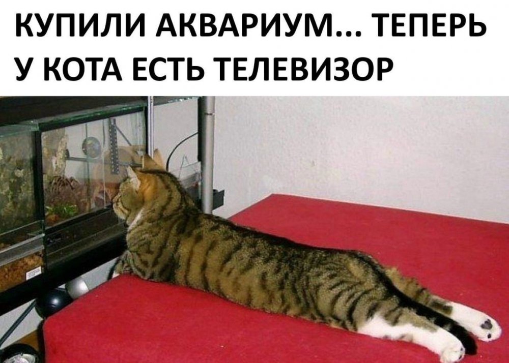 IMG-de3878ab55aaaeb9329e8b0769ff189d-V.jpg