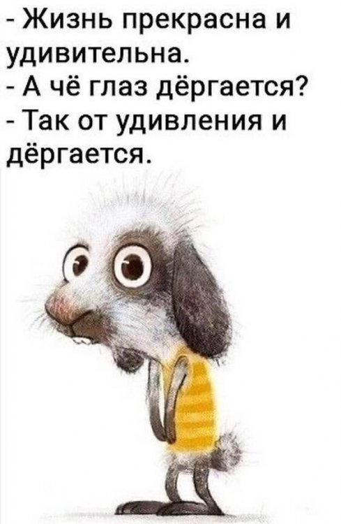 IMG-9bb23e0cba6c212976f2255d22467f60-V.jpg