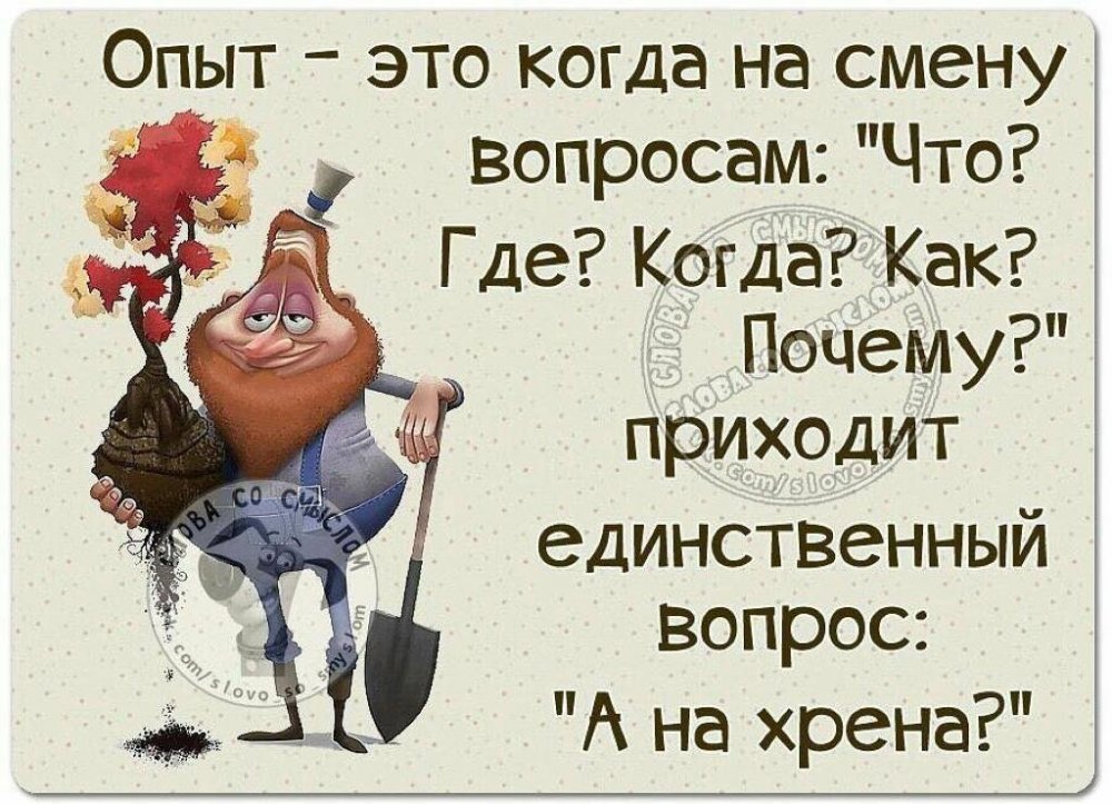 image1374ef40af7dcdde0af9de8700d038d1-V.jpg