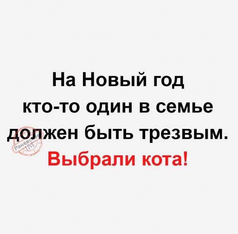 image5e2d4848103683d357ec1b3a54ac5af9-V.jpg