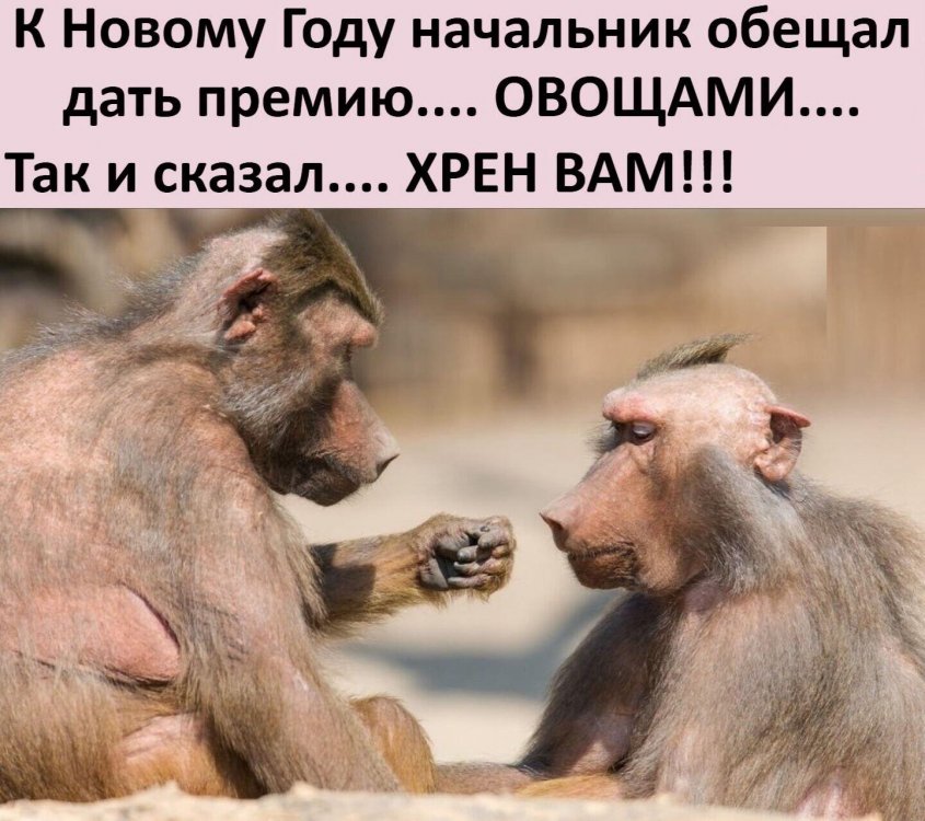 IMG-3c25f8de6e847d5443f32d3b54e64595-V.jpg