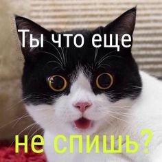 a059e757602398869f9485cf90dc46.jpg
