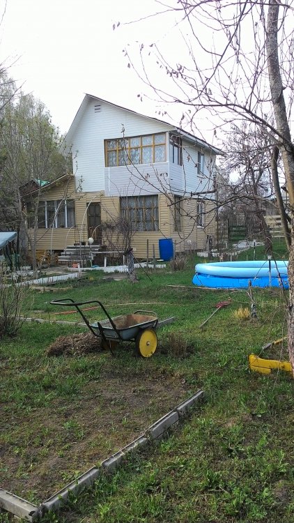 P_20180505_172928.jpg