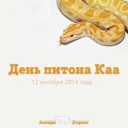 121014_250_auto_jpg.jpg