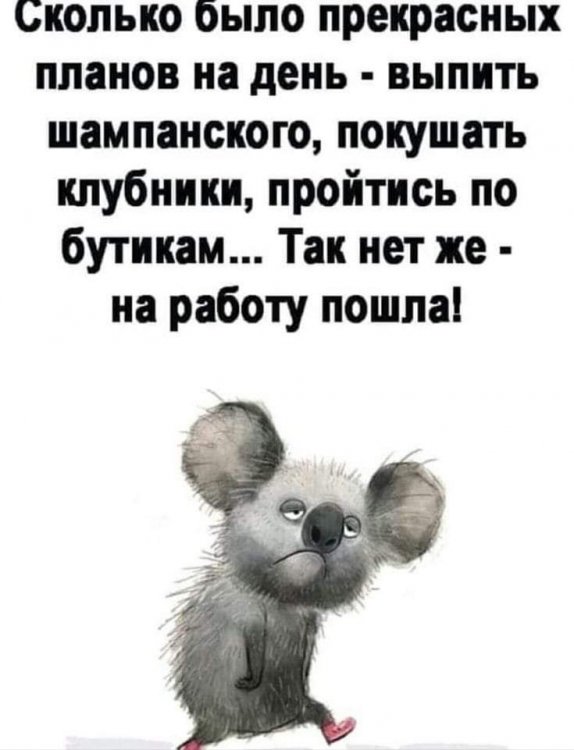 IMG-7714fd9289b7a70d7dff4cd6916f99ac-V.jpg