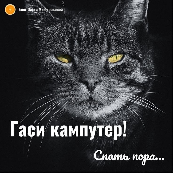 IMG-2e2e74c8009cfeaf8c6f5f24abaae898-V.jpg