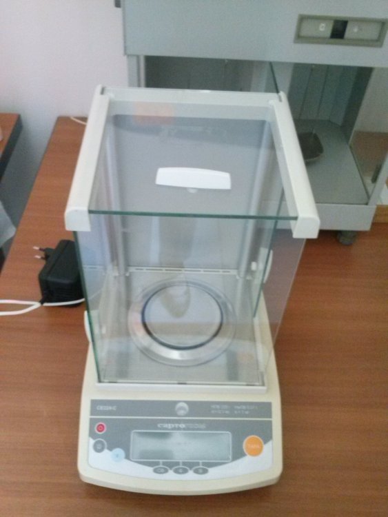 CAM00855.jpg