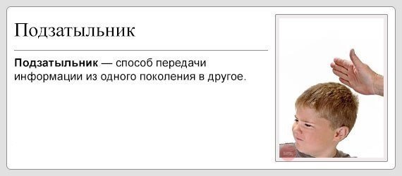 подзатыльник-1336555.jpeg
