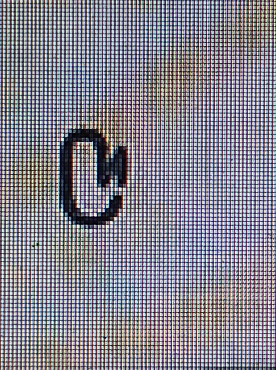 2ceee80e-fd31-4ebd-98ae-65ca7ab7efcf.jpg