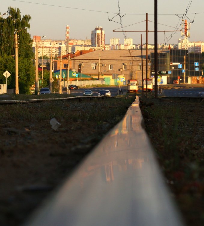 DSC02780_cr.jpg
