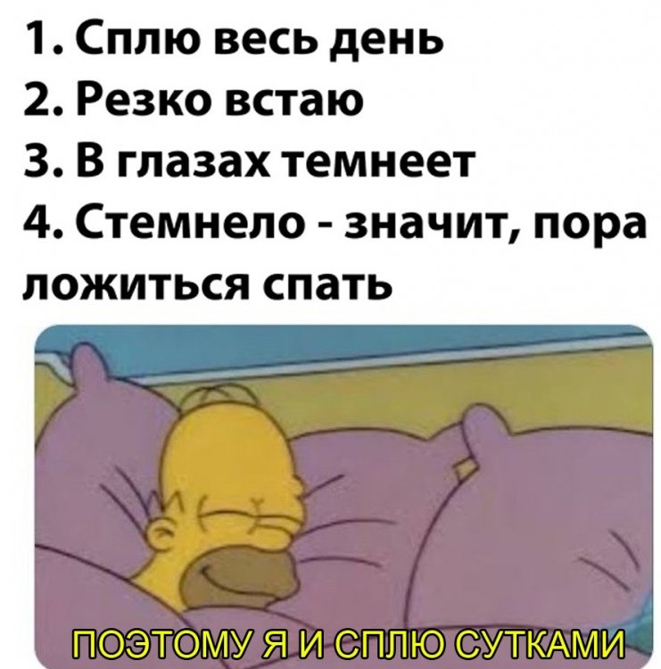 26028.jpg