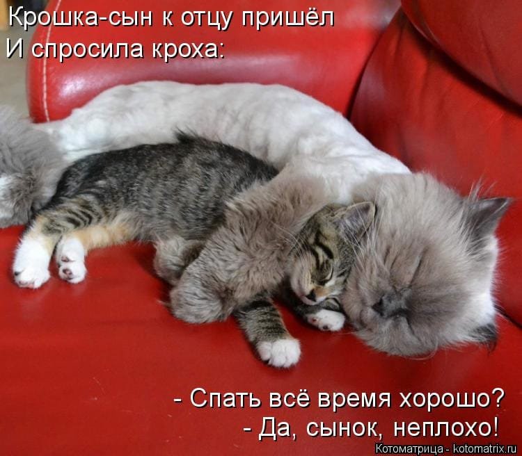 IMG-de6a85c7006c811401953891bf5dcd95-V.jpg